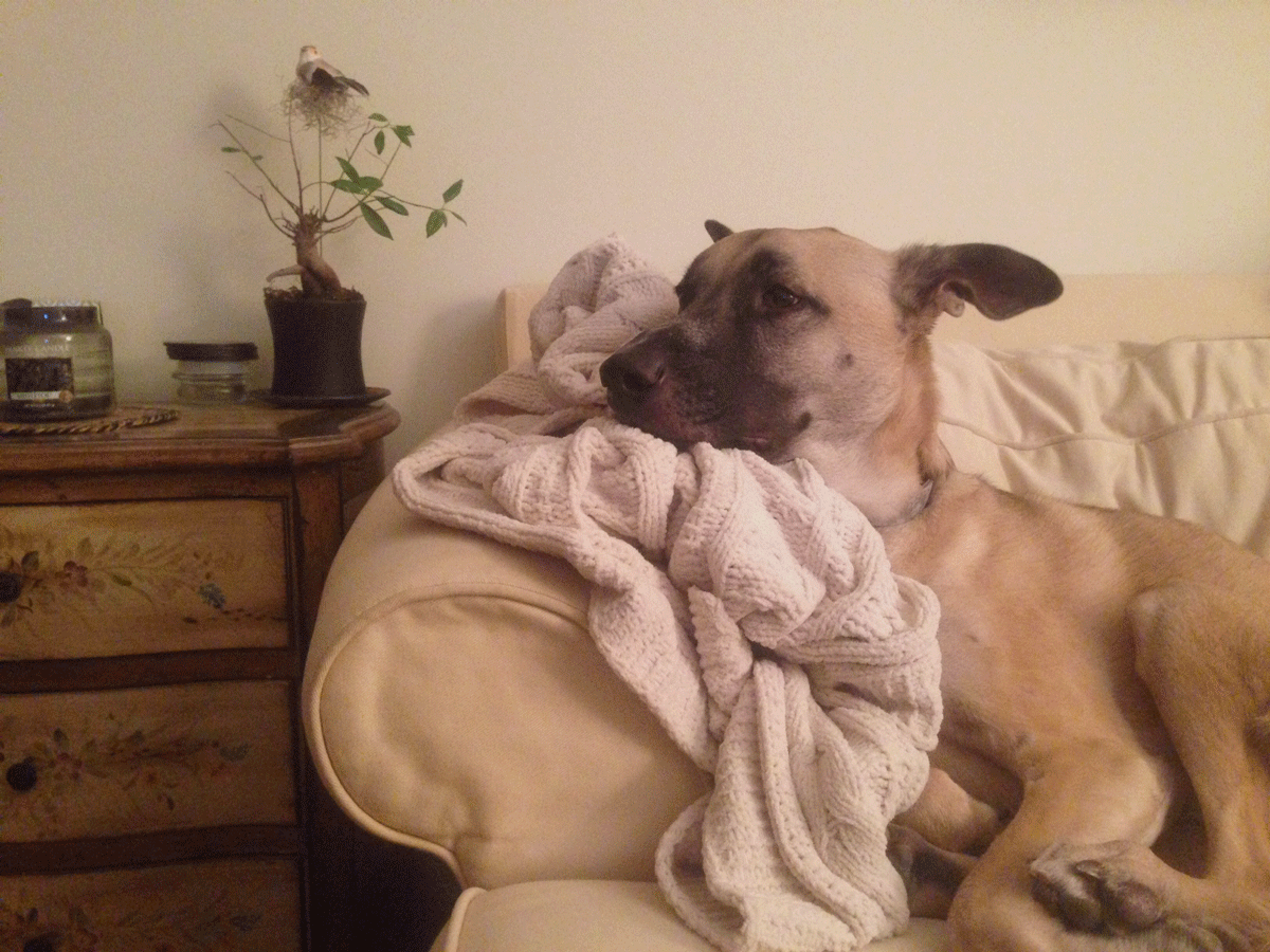 The Things I Said Too Late