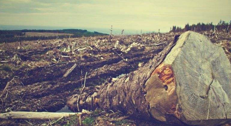 An Unconventional Post-Apocalyptic Reading List